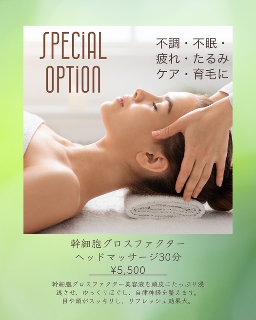 スペシャルオプションのご案内