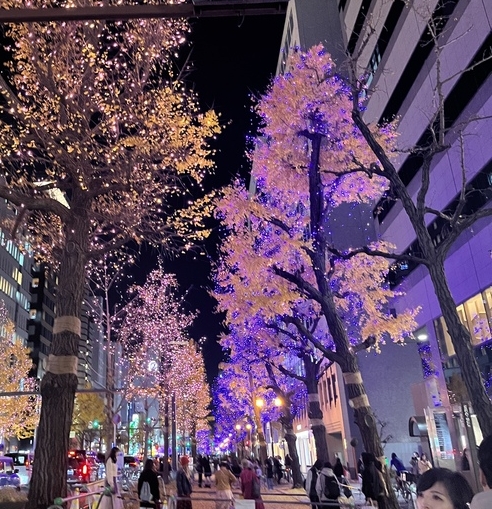 スペシャルオプションのご案内