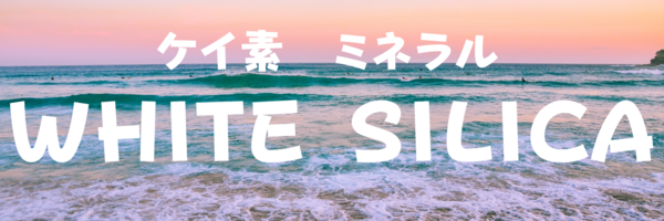 シリカメニュー