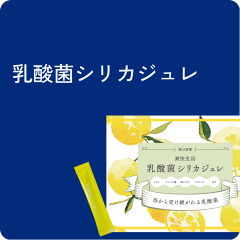 乳酸菌シリカジュレ