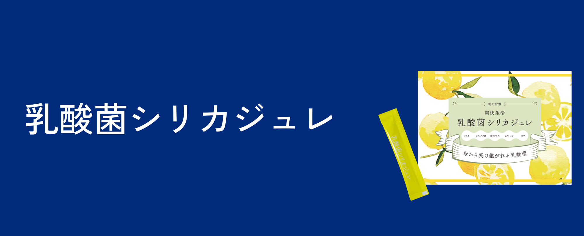 乳酸菌シリカジュレ