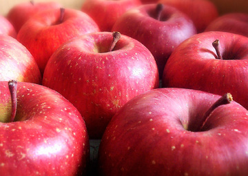 リンゴアミノ酸